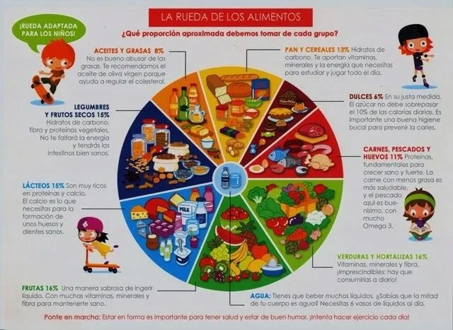 Aprender es divertido: La rueda de los alimentos Aprender es divertido: La rueda de los alimentos