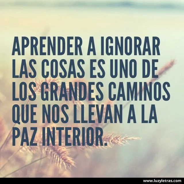 Aprender a ignorar las cosas es uno de los grandes caminos que nos ...