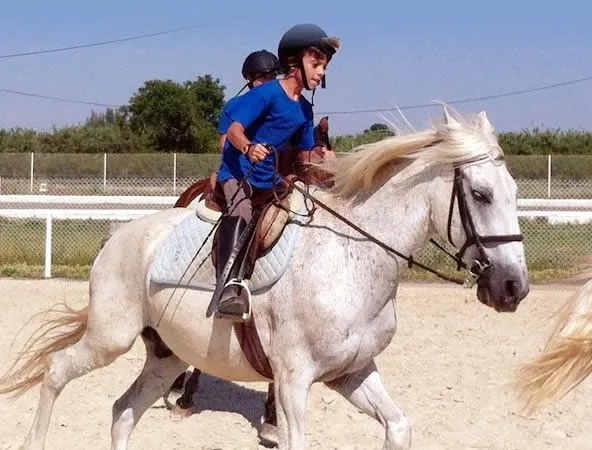 aprender-montar-caballo- ...