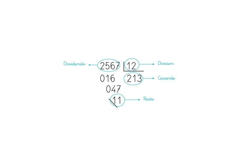 Cómo aprender/enseñar a dividir por dos cifras en Primaria Cómo aprender/enseñar a dividir por dos cifras en Primaria