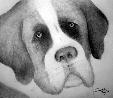 Aprendiendo a dibujar, pintar, desconectar,...: Mis dibujos de ...