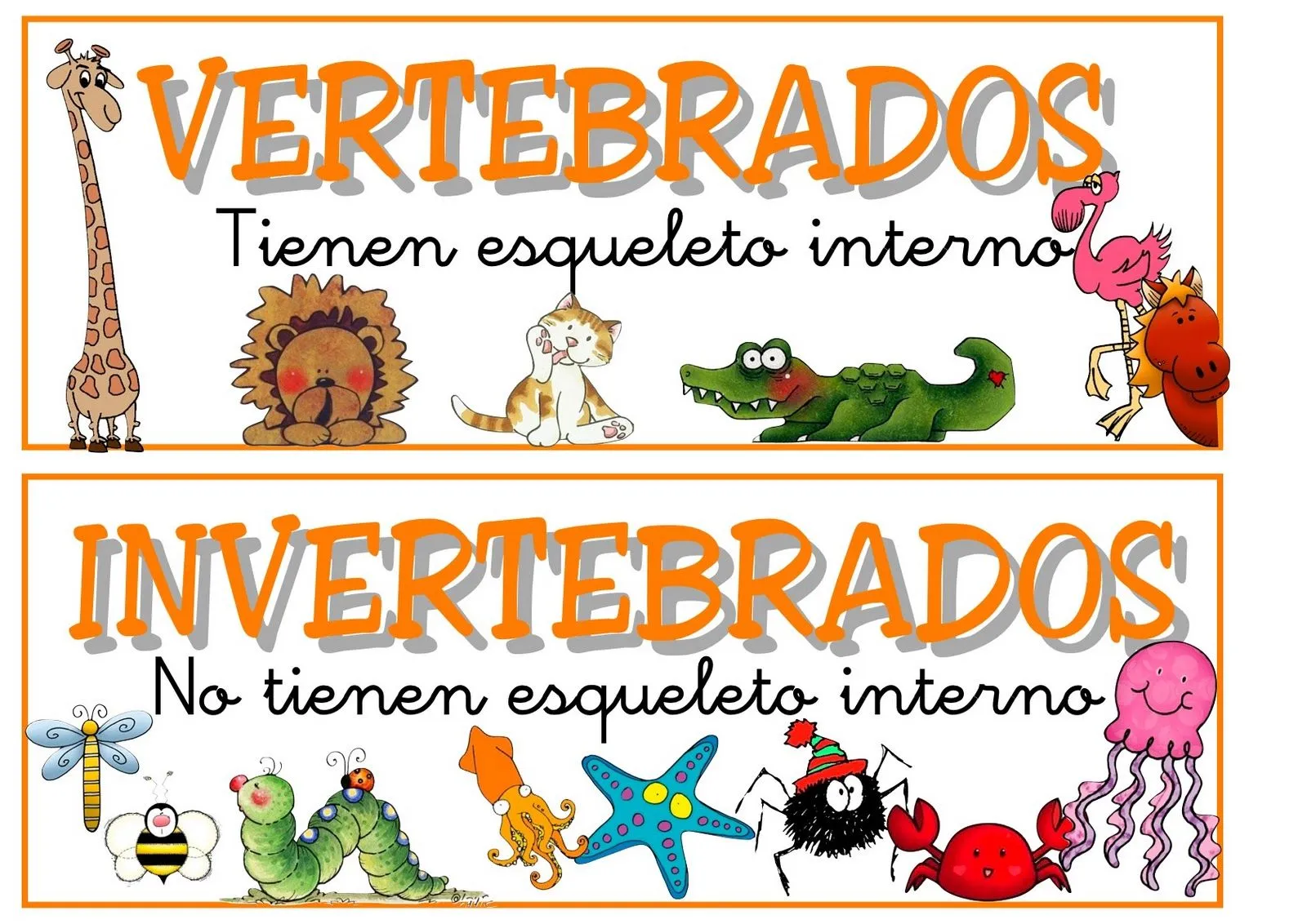 Aprendiendo Juntos: Los animales Vertebrados e Invertebrados Aprendiendo Juntos: Los animales Vertebrados e Invertebrados