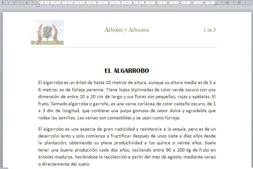 Aprendiendo Word: Encabezado y Pie de Página Aprendiendo Word: Encabezado y Pie de Página