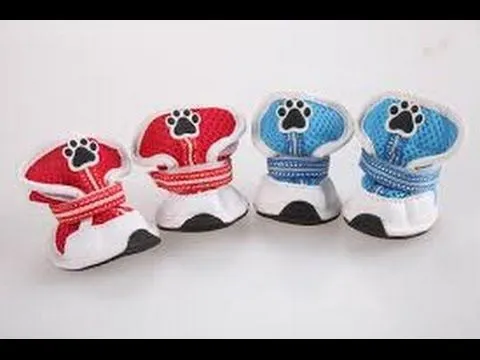 APRENDIENDO COMO HACER ZAPATOS PARA PERROS CON MOLDES DE TODAS LAS ... APRENDIENDO COMO HACER ZAPATOS PARA PERROS CON MOLDES DE TODAS LAS ...