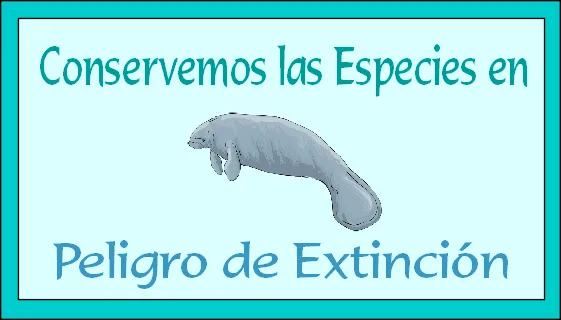 Aprendizaje Divertido: Día de las Especies en Peligro de Extinción Aprendizaje Divertido: Día de las Especies en Peligro de Extinción