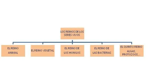 CEIP MIGUEL DE CERVANTES: Unidad 1: Los seres vivos (5º de Primaria)