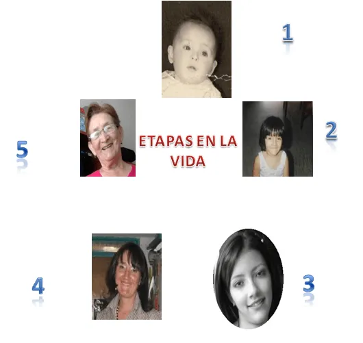 Aprendo y me divierto! | Blog de aprendizajes en ciencias ...