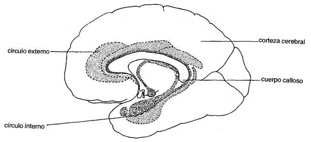 Apuntes de Biologia y Quimica - Revisado y corregido - - Página 12 ... Apuntes de Biologia y Quimica - Revisado y corregido - - Página 12 ...