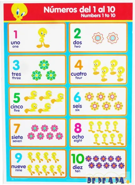 Apuntes y mucho más: El maravilloso mundo de los números Apuntes y mucho más: El maravilloso mundo de los números