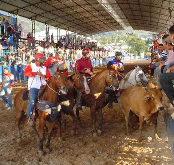 ARAGUA, COLEO Y SU GENTE 24/Ene :: Noticias de la Comunidad de ... ARAGUA, COLEO Y SU GENTE 24/Ene :: Noticias de la Comunidad de ...