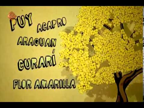 El Araguaney. Identidad venezolana... - YouTube El Araguaney. Identidad venezolana... - YouTube