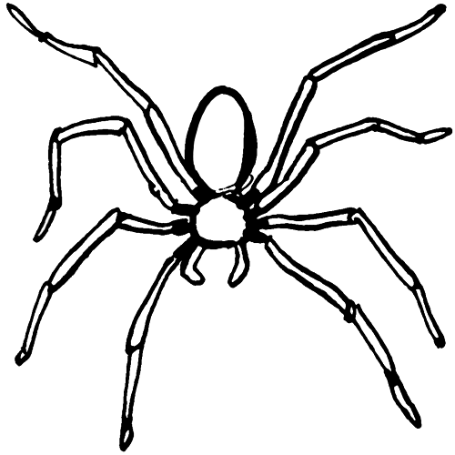 Araña para dibujar - Imagui