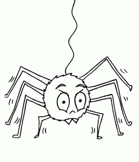 Dibujo de Araña. Dibujo para colorear de Araña. Dibujos infantiles ...