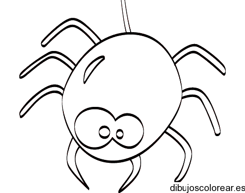 Arañas | Dibujos para Colorear