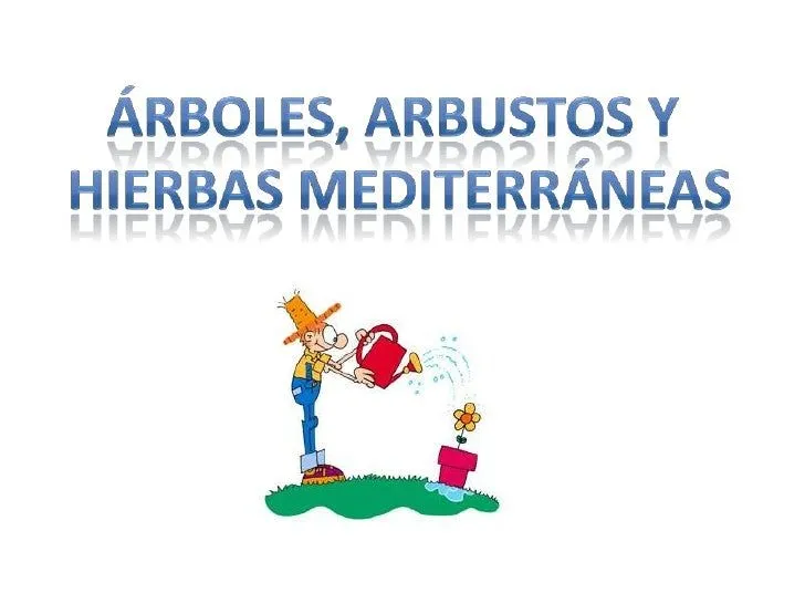 Arbol, arbusto y hierba