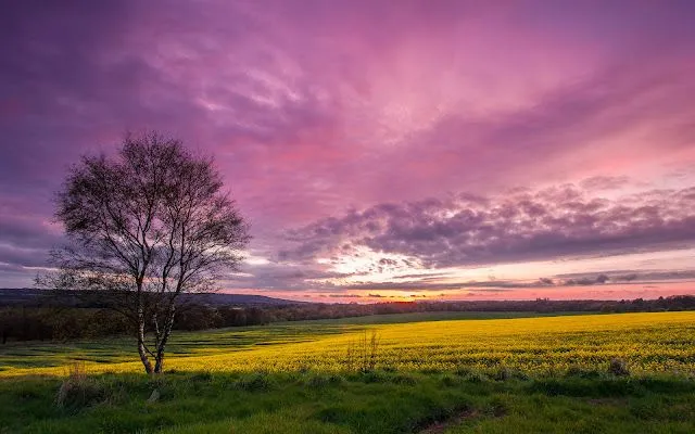 Fondos de escritorio, fondos de escritorio gratis, imagenes fondo ...