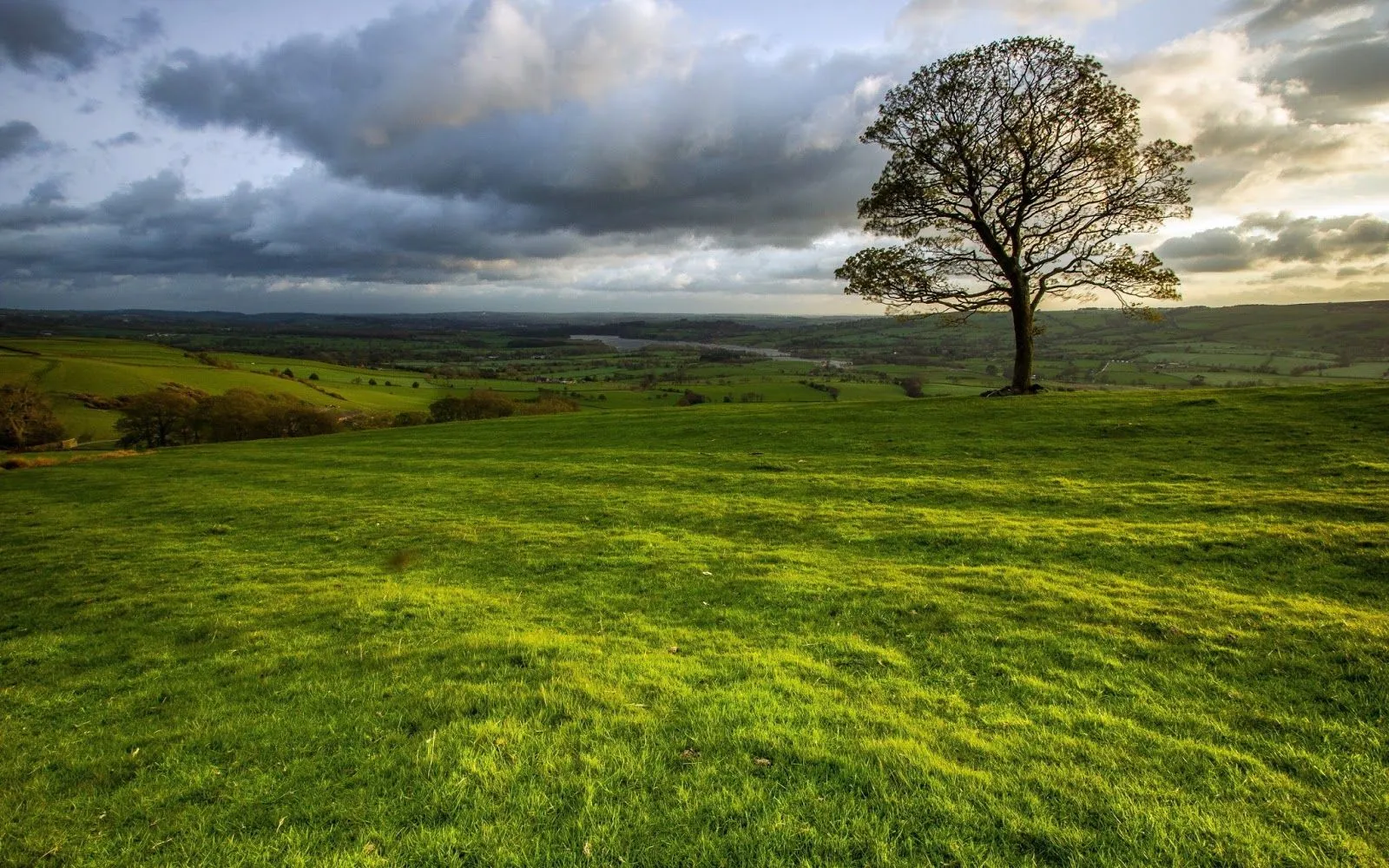 Un Árbol en Medio del Campo - Fotos de la Naturaleza | Fotos e ... Un Árbol en Medio del Campo - Fotos de la Naturaleza | Fotos e ...