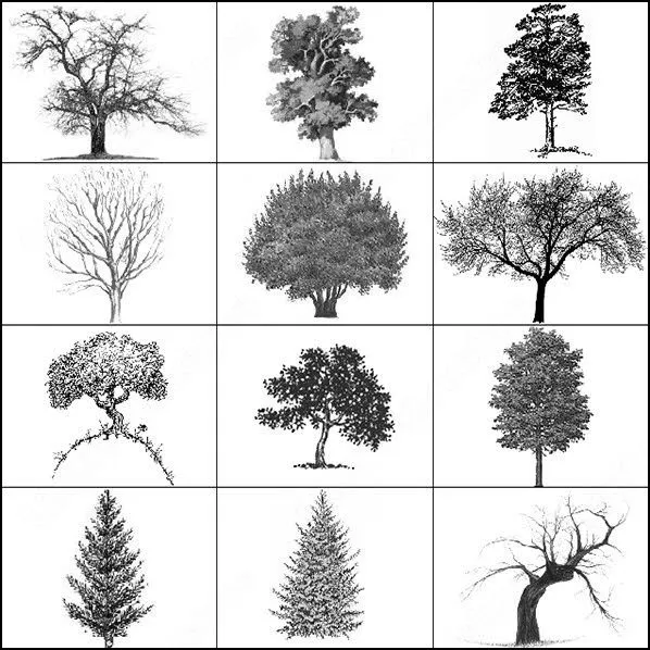 árbol cepillo Photoshop Brushes para su descarga gratuita árbol cepillo Photoshop Brushes para su descarga gratuita