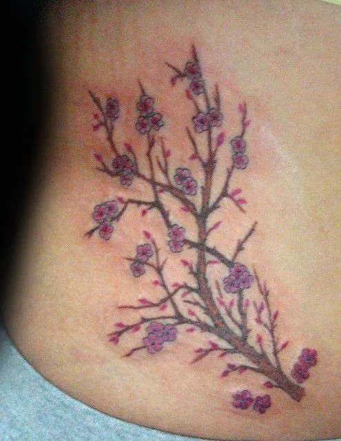 Árbol de cerezo tattoo - Imagui