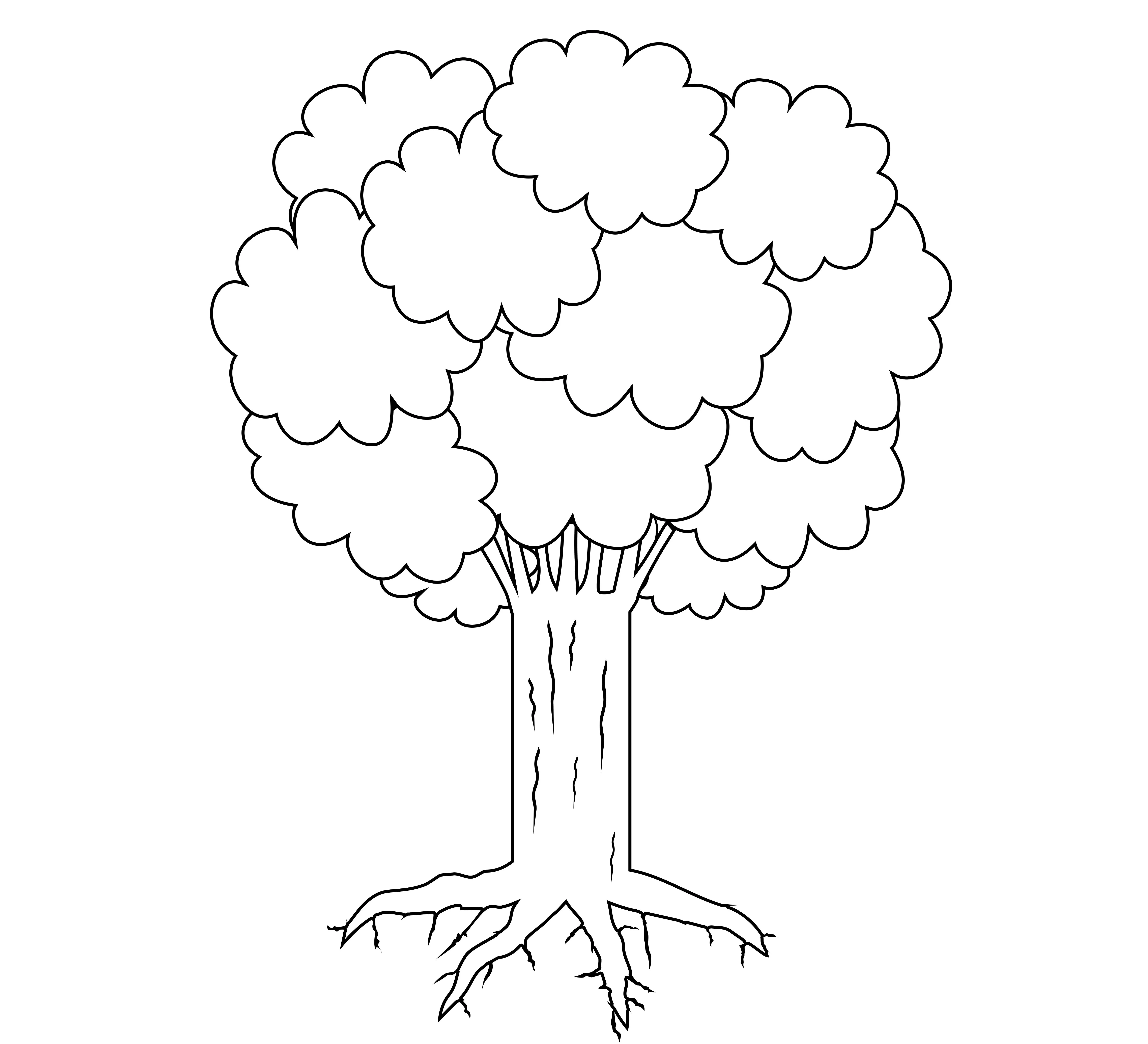 Árbol Para Colorear