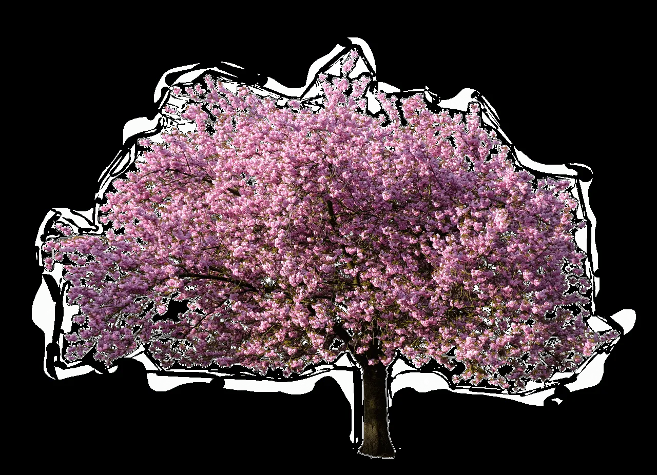Árbol Floreciendo en Primavera PNG transparente - StickPNG Árbol Floreciendo en Primavera PNG transparente - StickPNG