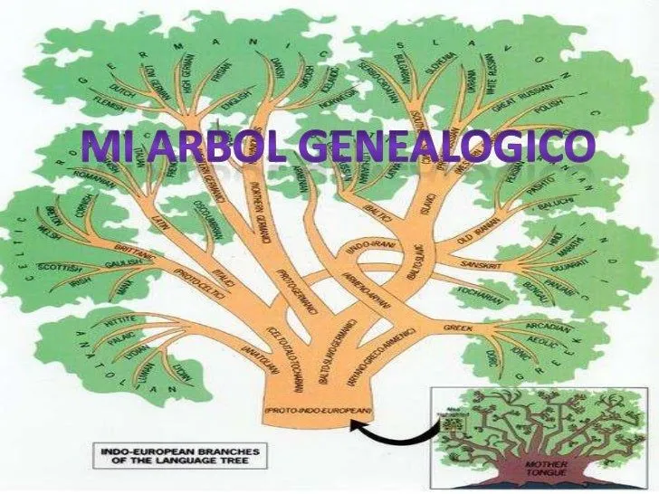 ÁRBOL GENEALÓGICO