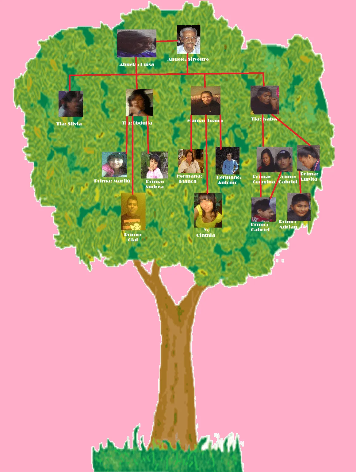 Árbol Genealógico | cinthia7393