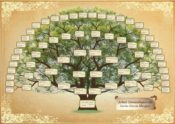 Plantilla arbol genealogico gratis español - Imagui