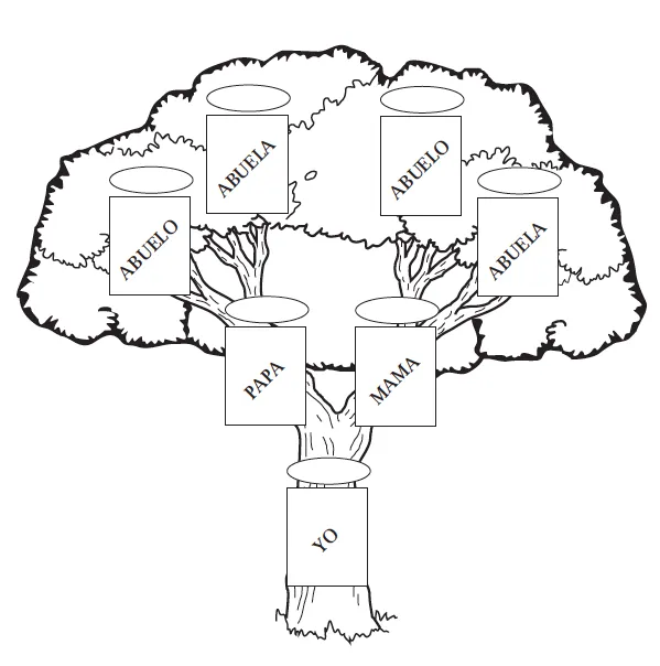 Arbol genealogico familiar dibujo - Imagui