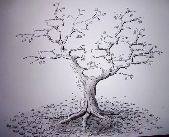 Arbol Genealogico Flickr Photo Sharing | drawing &amp; inspiration ...