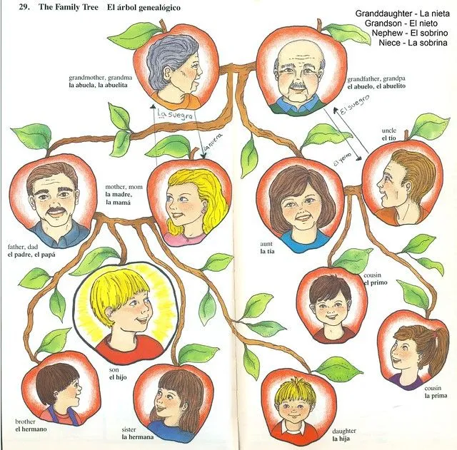 Arbol genealogico en ingles de la familia - Imagui