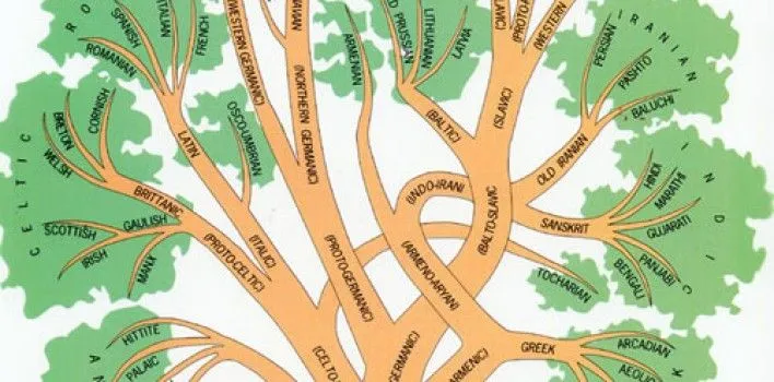 Árbol Genealógico de los lenguajes | Estrafalarius