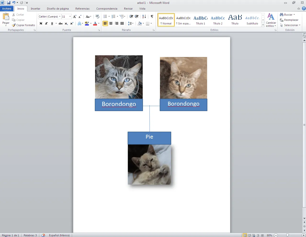 Cómo hacer un árbol genealógico con Microsoft Word - Tecnología ... Cómo hacer un árbol genealógico con Microsoft Word - Tecnología ...