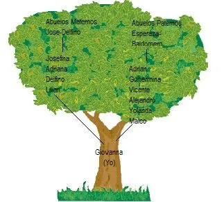 Mi Arbol Genealogico | miwebblogarbolgenealogico Mi Arbol Genealogico | miwebblogarbolgenealogico