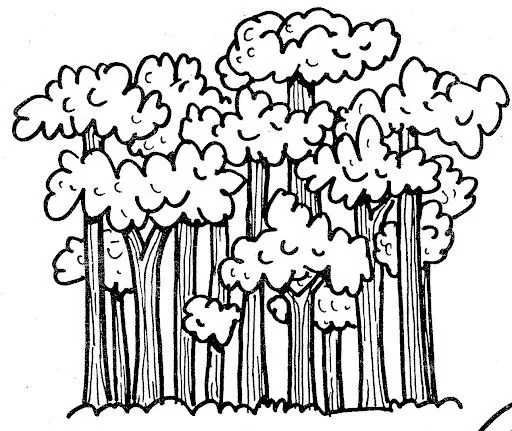 DIA DEL ARBOL LAMINAS PARA PINTAR