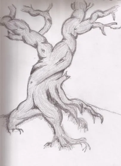 Dibujo a lapiz de arbol - Imagui