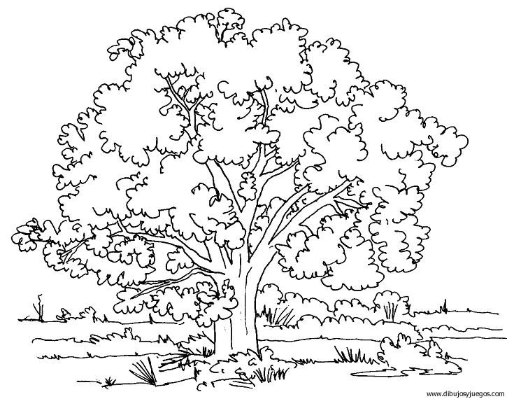 dibujo-arboles-016 | Dibujos y juegos, para pintar y colorear dibujo-arboles-016 | Dibujos y juegos, para pintar y colorear