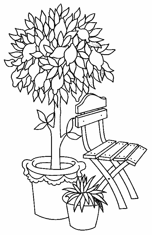 Arbol limonero para colorear - Imagui