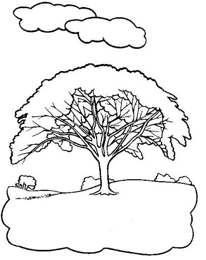 Arbol Araguaney Dibujo Para Colorear images