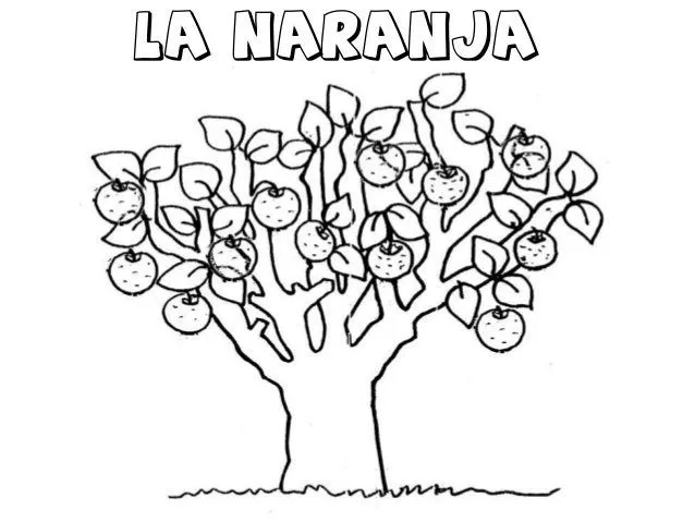 Arbol de naranjas para colorear - Imagui