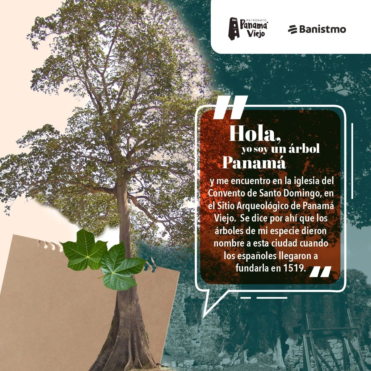 El Árbol Panamá – Patronato Panamá Viejo