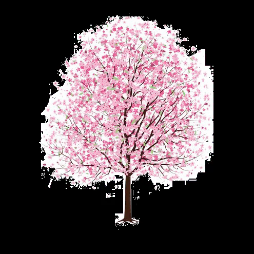 Arbol Png. by 1Flowers12 on DeviantArt