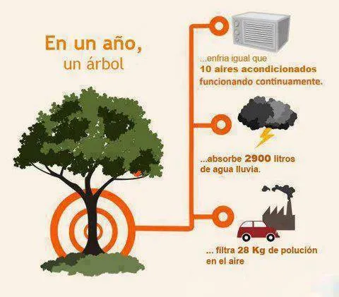 Día del árbol. Poemas | Acuarela de palabras