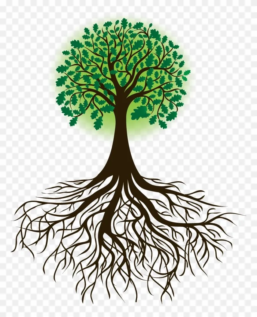 Arbol Raices Borges - Tree With Roots Drawing - Free Transparent PNG Clipart Images Download Arbol Raices Borges - Tree With Roots Drawing - Free Transparent PNG Clipart Images Download