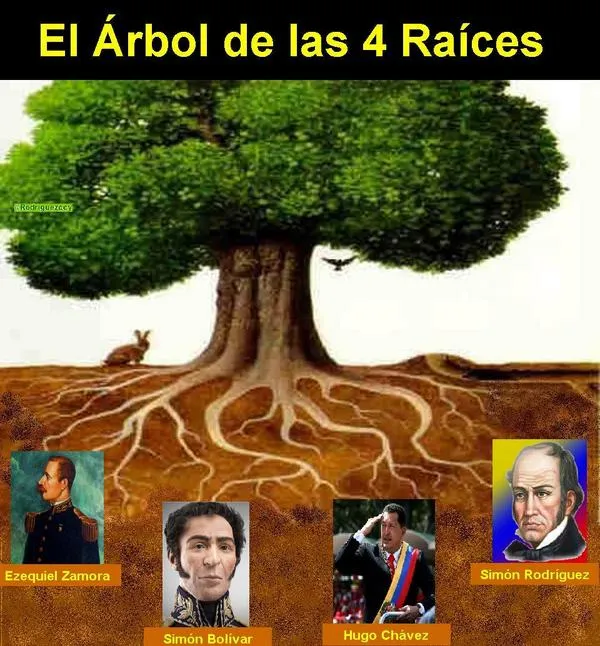 El arbol de las 6 raices - Imagui