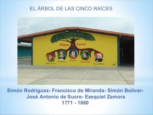 Arbol de cinco raices - Imagui