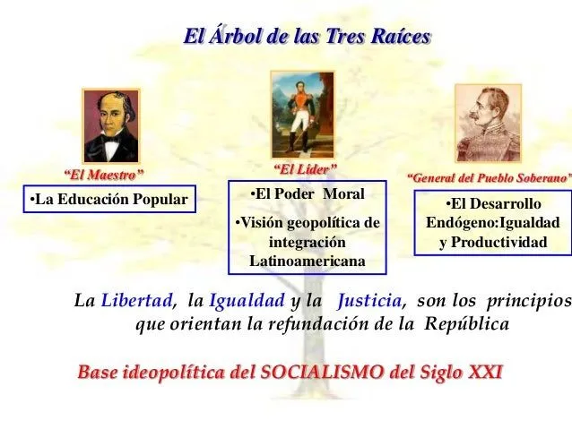 El arbol de las 7 raices - Imagui