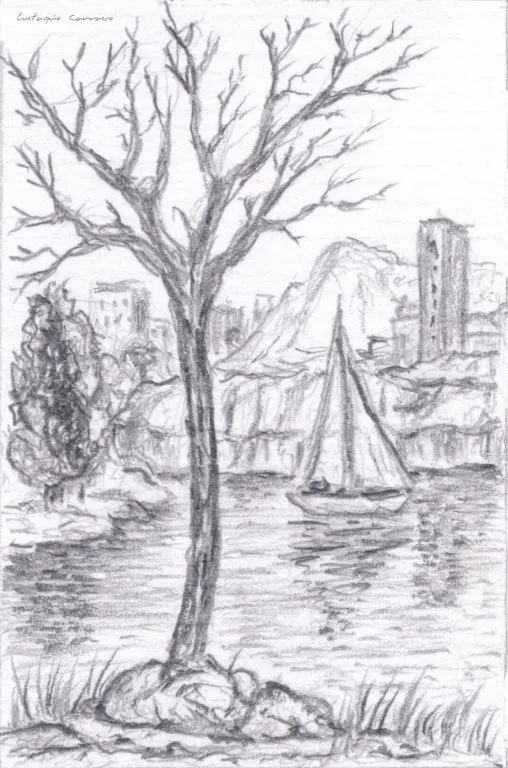 Arbol seco dibujo a lapiz - Imagui