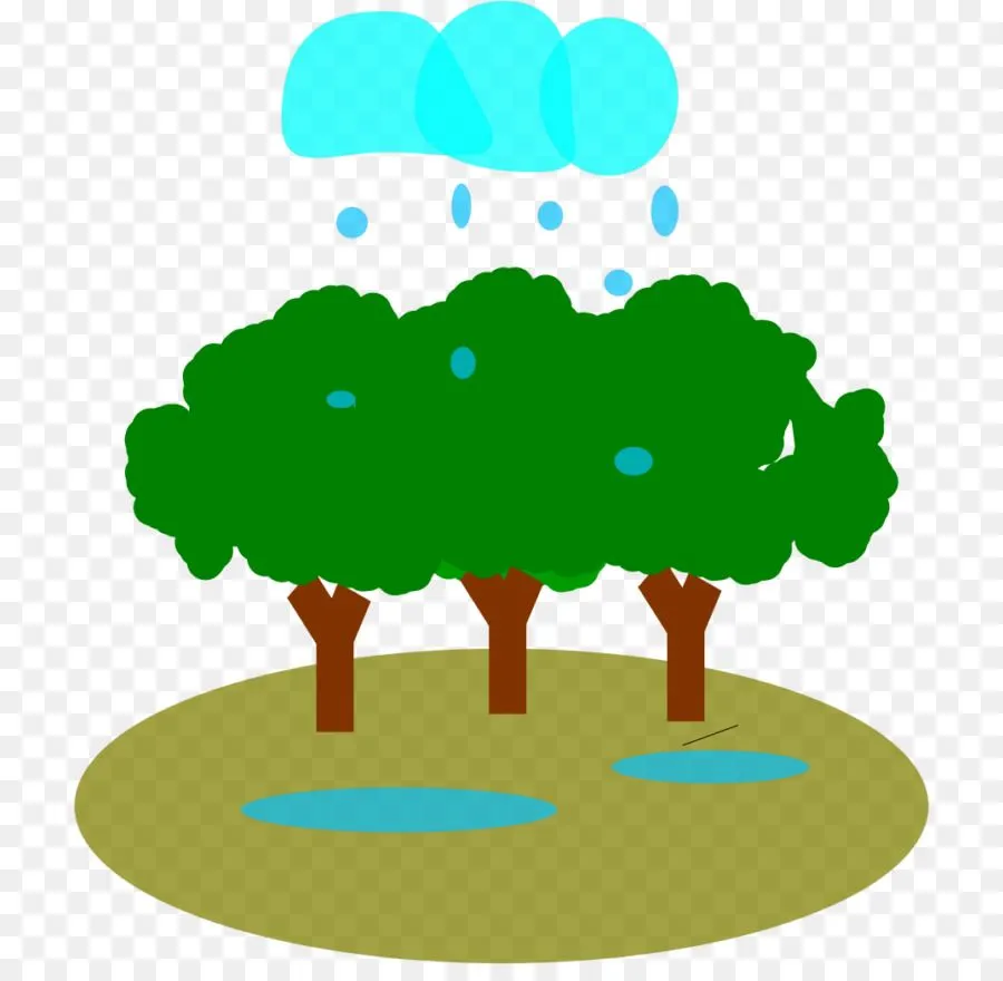 árbol, La Selva, El Clima imagen png - imagen transparente descarga gratuita árbol, La Selva, El Clima imagen png - imagen transparente descarga gratuita
