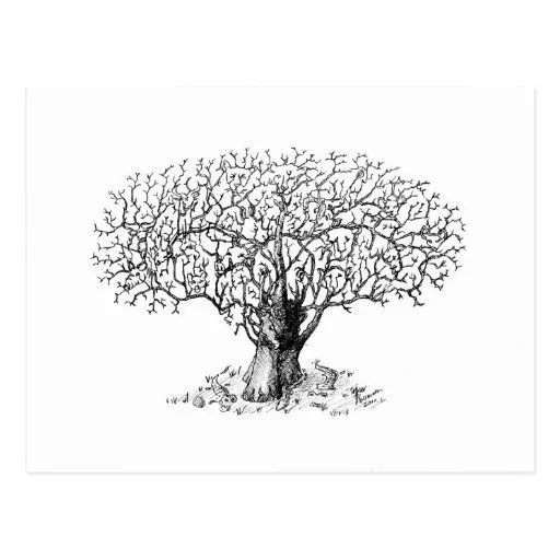 Arboles de la vida dibujados a lapiz - Imagui Arboles de la vida dibujados a lapiz - Imagui